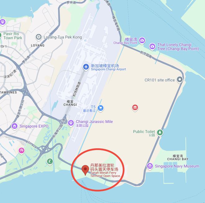 在搞大事！太让人震撼了！j9九游会登录新加坡又(图25)